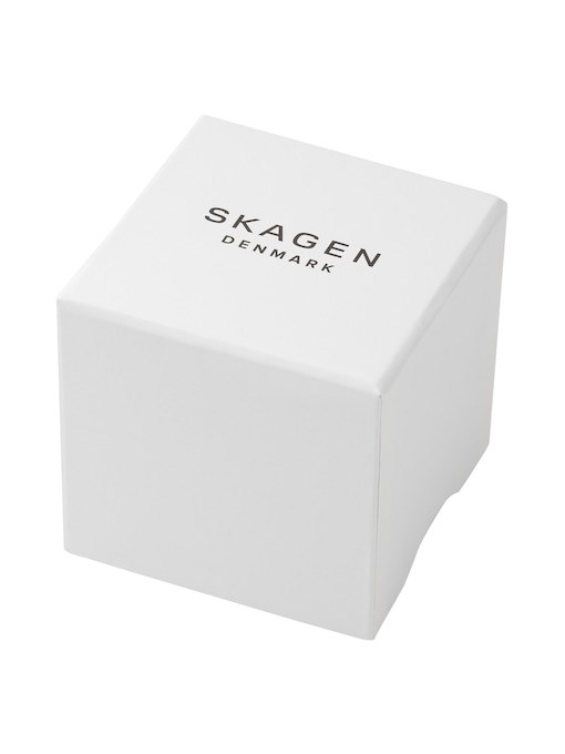 Skagen Grenen Lille Silver Watch SKW3080