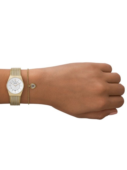 Skagen Grenen Lille Two Tone Watch Set SKW1156SET