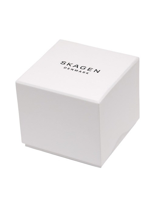 Skagen Grenen Lille Two Tone Watch Set SKW1156SET