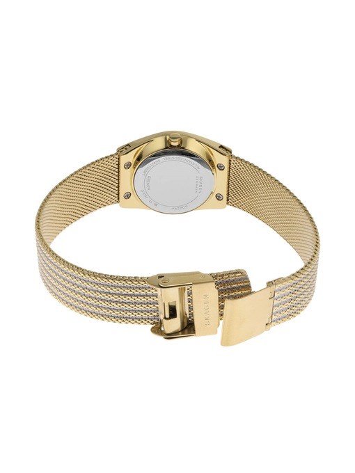 Skagen Grenen Lille Two Tone Watch Set SKW1156SET