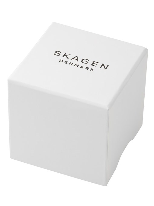 Skagen RIIS Blue Watch SKW3090