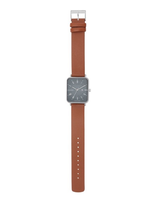 Skagen Ryle Solar Powered Brown Watch SKW6847