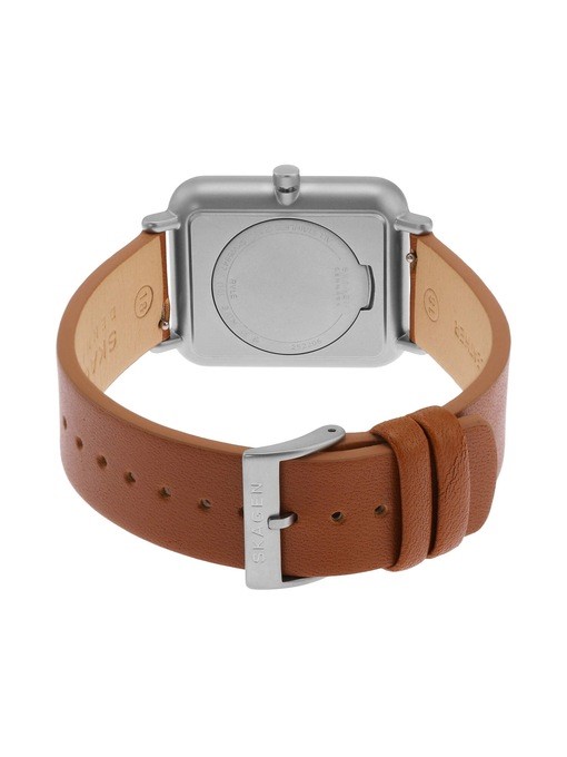 Skagen Ryle Solar Powered Brown Watch SKW6847