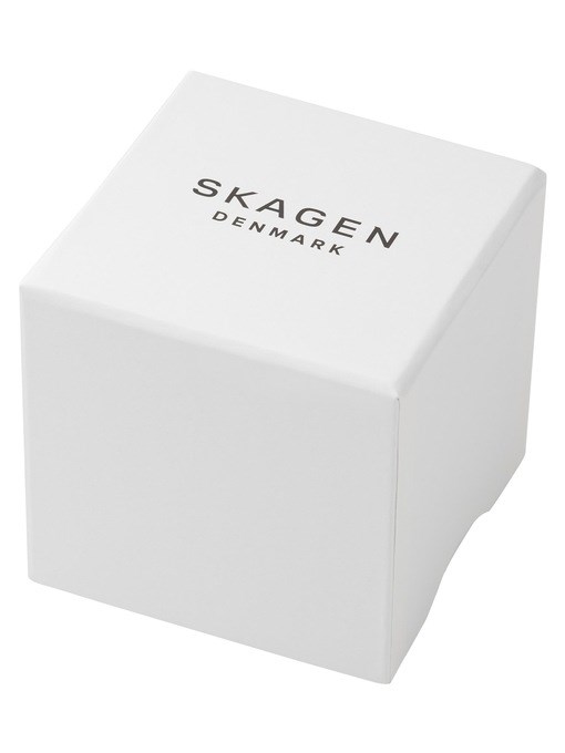 Skagen Kuppel Brown Watch SKW6889