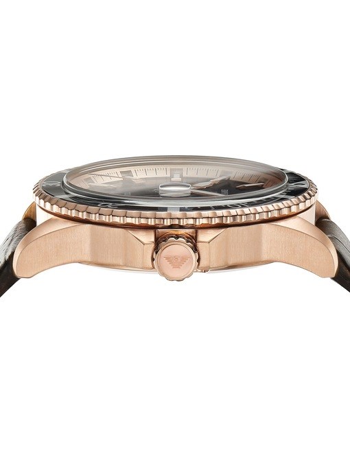 Emporio Armani Brown Watch AR11556