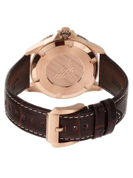 Emporio Armani Brown Watch AR11556