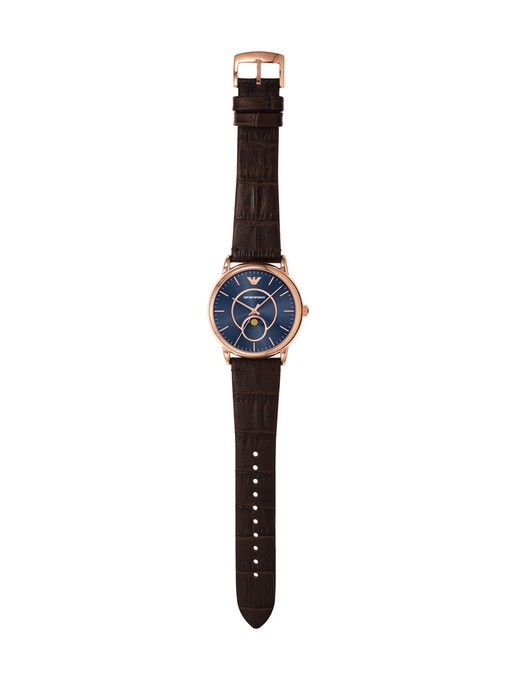 Emporio Armani Brown Watch AR11566