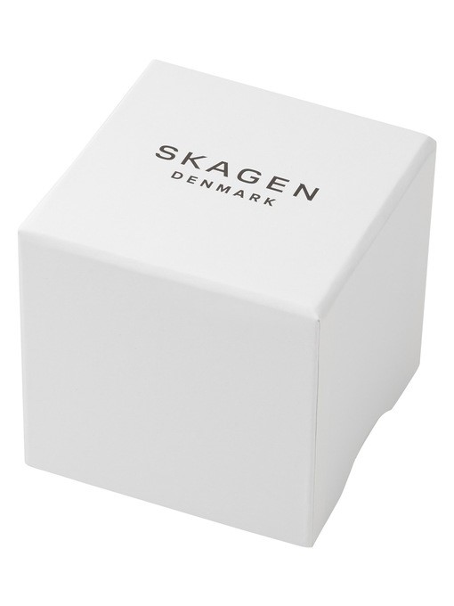 Skagen Kuppel Lille Silver Watch SKW3101