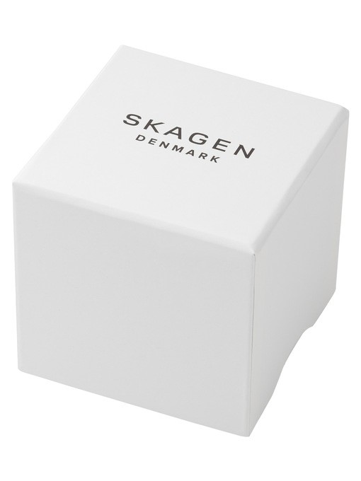 Skagen Signatur Sport Silver Watch SKW6919