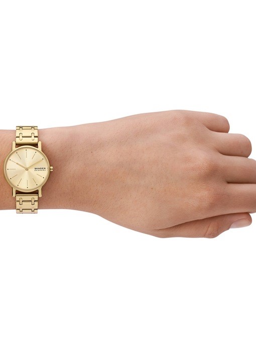 Skagen Signatur Lille Gold Watch SKW3124