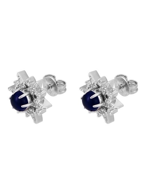 Emporio Armani Silver Earring EG3603040