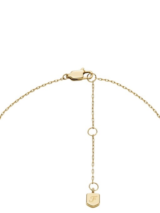 Fossil Jewelry Two Tone Necklace Set JF04815SET