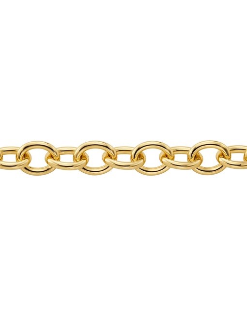 Michael Kors Premium Gold Necklace MKJ841800710