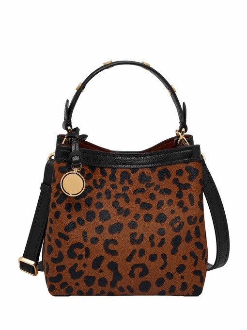 Fossil Jessie Brown Crossbody Bag ZB11102234