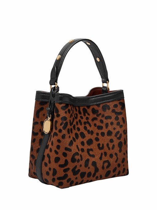 Fossil Jessie Brown Crossbody Bag ZB11102234