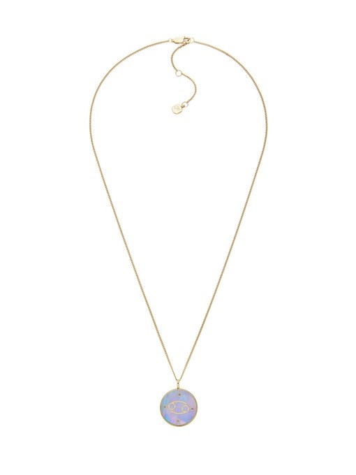 Fossil Sutton Gold Necklace JF04839710