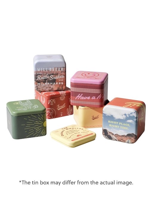 Fossil Everett Silver Watch FS6105