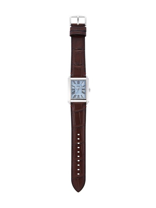 Fossil Carraway Brown Watch FS6110