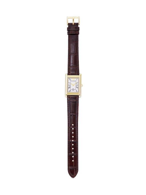 Emporio Armani Brown Watch AR11665