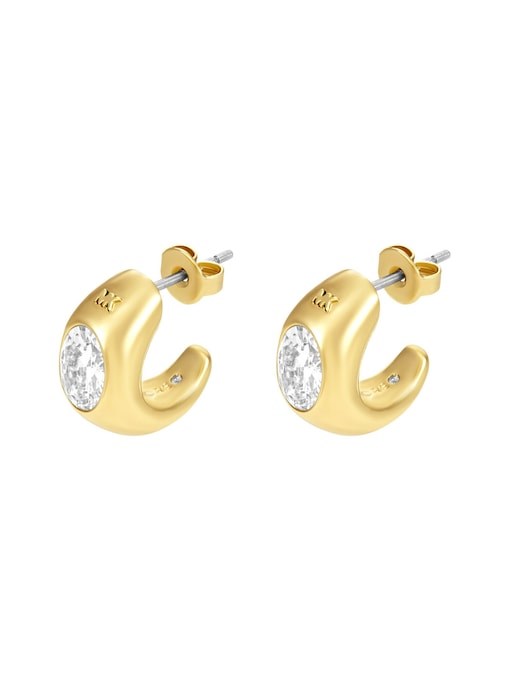 Michael Kors Premium Gold Earring MKJ8478710