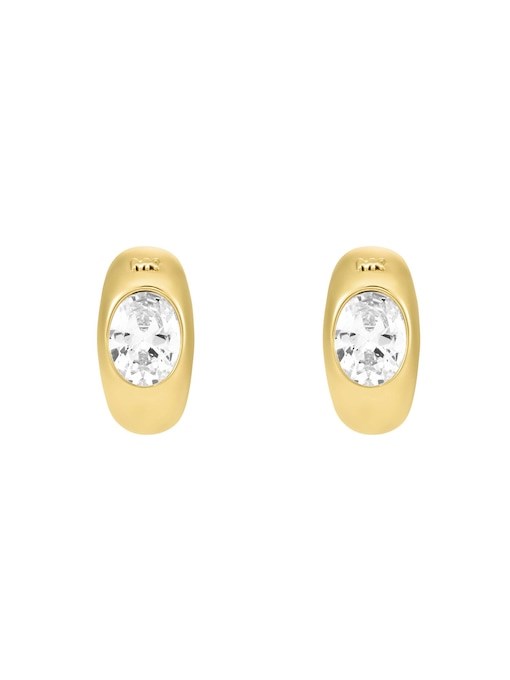 Michael Kors Premium Gold Earring MKJ8480710