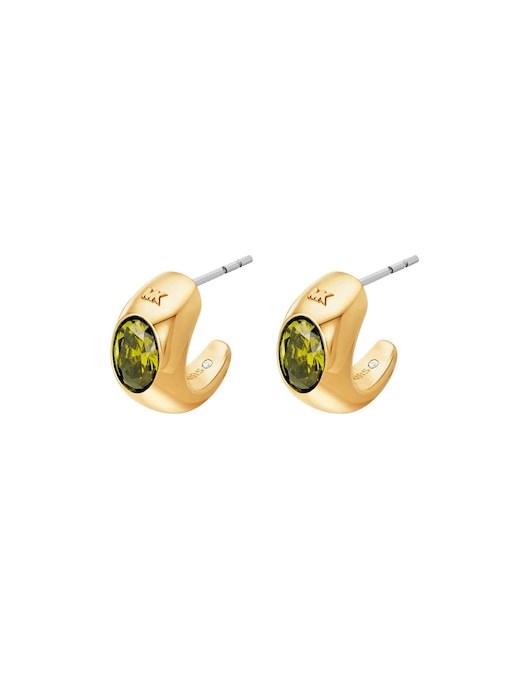 Michael Kors Premium Gold Earring MKJ8480710