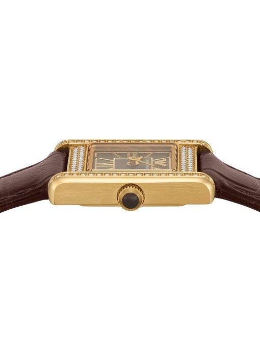 Emporio Armani Brown Watch AR11705