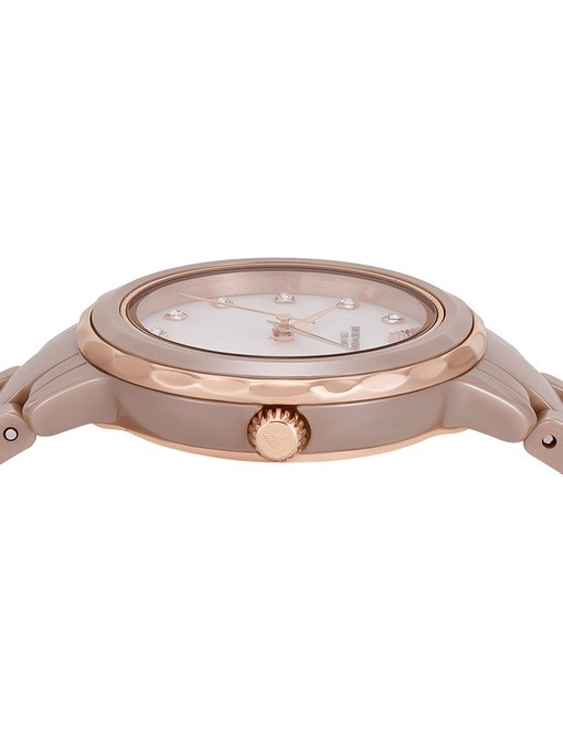 Emporio Armani Taupe Watch AR70018