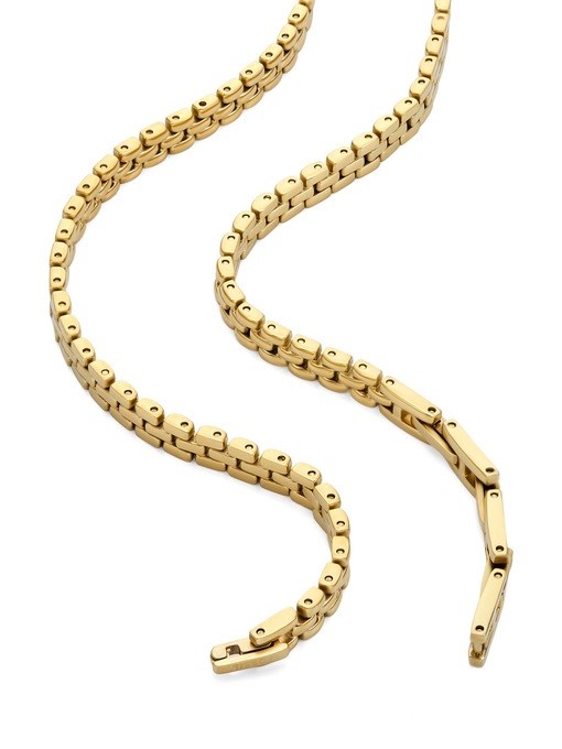Fossil Arden Gold Necklace JF04900710