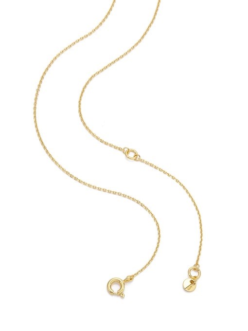 Michael Kors Premium Gold Necklace MKC1835710