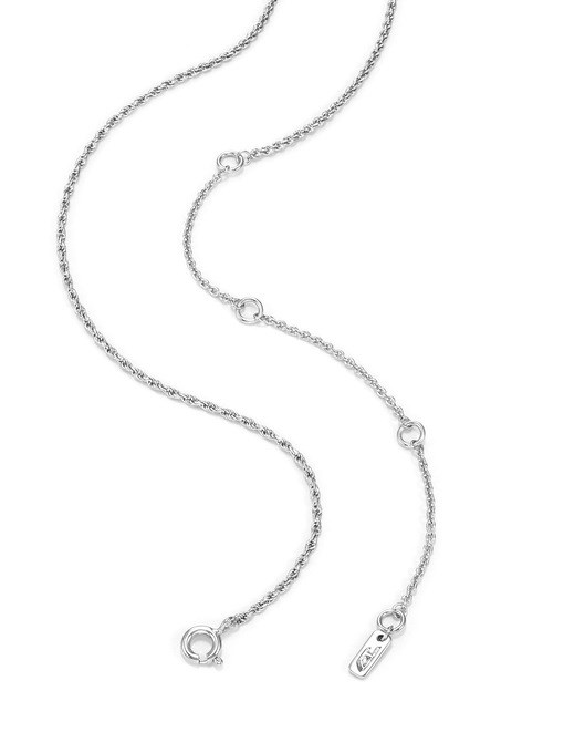 Diesel D Logo Silver Necklace DL1367040 Diesel D Logo Silver Necklace DL1367040