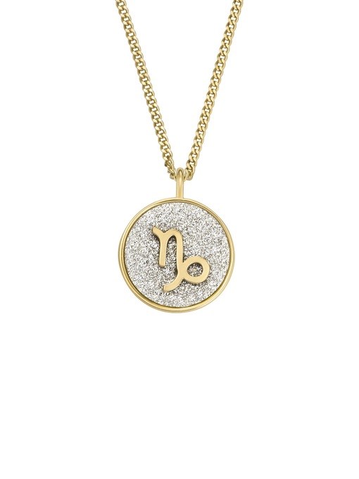 Fossil Jewelry Gold Necklace JOA00943710