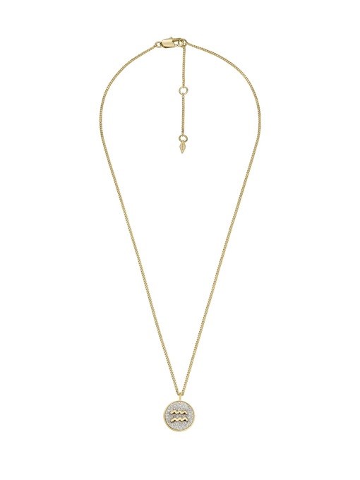 Fossil Jewelry Gold Necklace JOA00944710