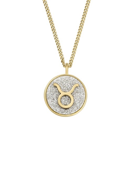 Fossil Jewelry Gold Necklace JOA00947710