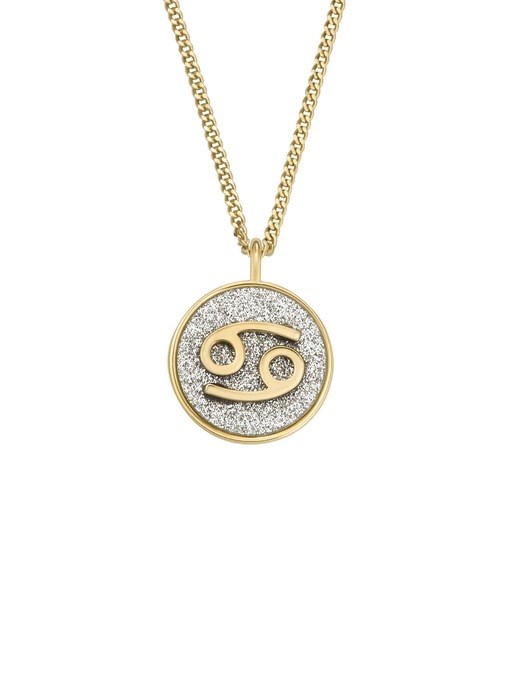 Fossil Jewelry Gold Necklace JOA00949710
