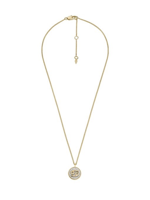 Fossil Jewelry Silver Necklace JOA00915040
