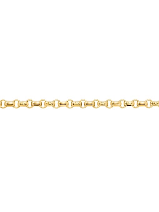 Michael Kors Premium Gold Bracelet MKJ8596710