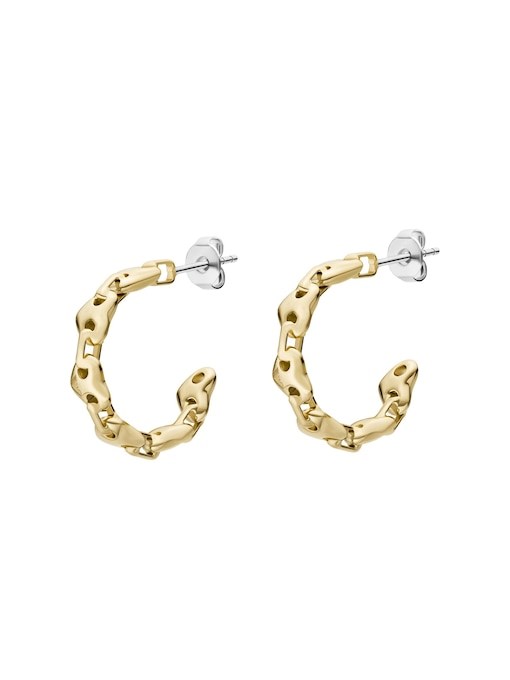 Emporio Armani Gold Earring EGS3333710