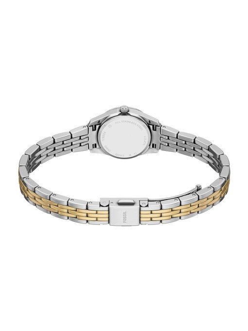 Scarlette Mini Three-Hand Two-Tone Stainless Steel Watch