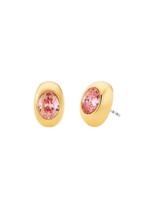 Michael Kors Premium Gold Earring MKJ838400710