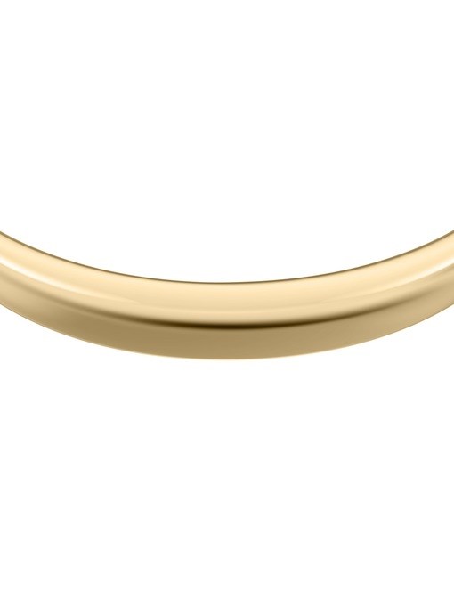 Ellis Domed Collection Gold-Tone Stainless Steel Bangle Bracelet
