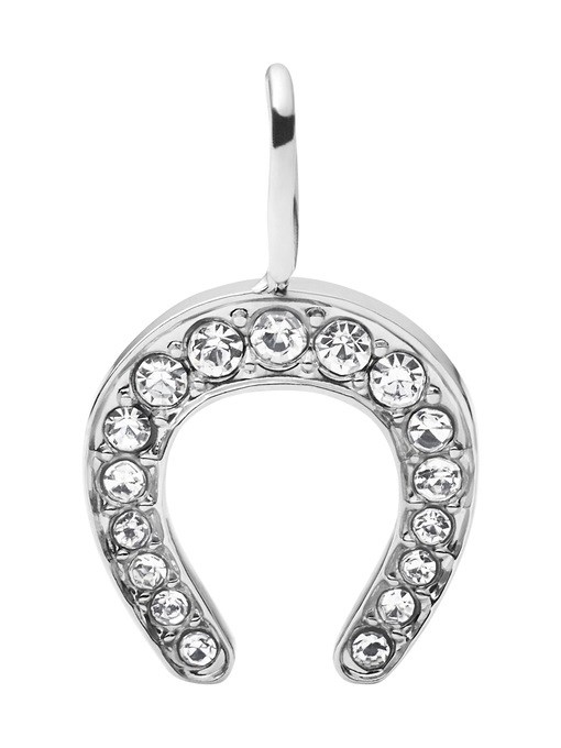Fossil Silver Charm JF03503040