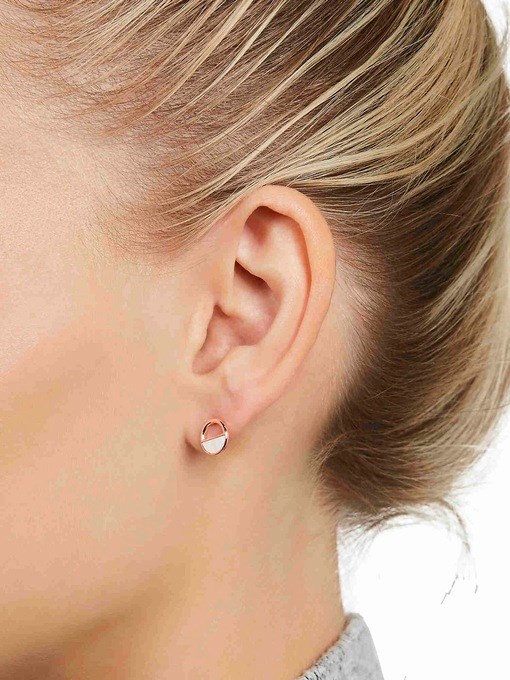 Skagen Agnethe Rose Gold Earring SKJS0002791
