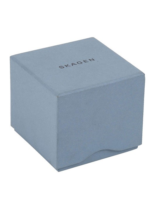 Skagen Jorn Brown Watch SKW6331