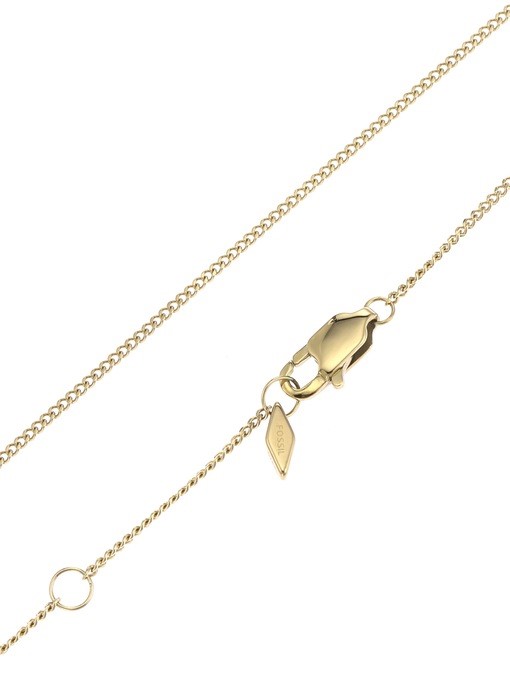 Fossil Lane Gold Necklace JF04019710