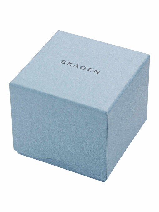 Skagen Signatur Box Grey Watch Set SKW1155SET