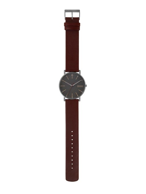 Skagen Signatur Brown Watch SKW6860