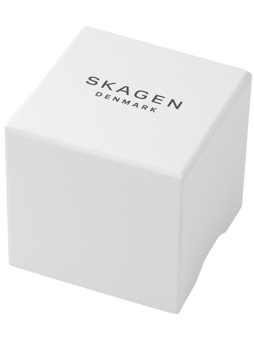 Skagen Ancher Charcoal Watch SKW6779