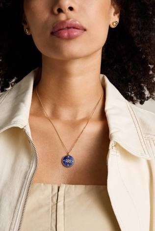 Fossil Jewelry Gold Necklace JF04849710