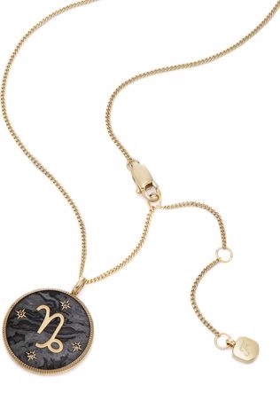 Fossil Jewelry Gold Necklace JF04847710